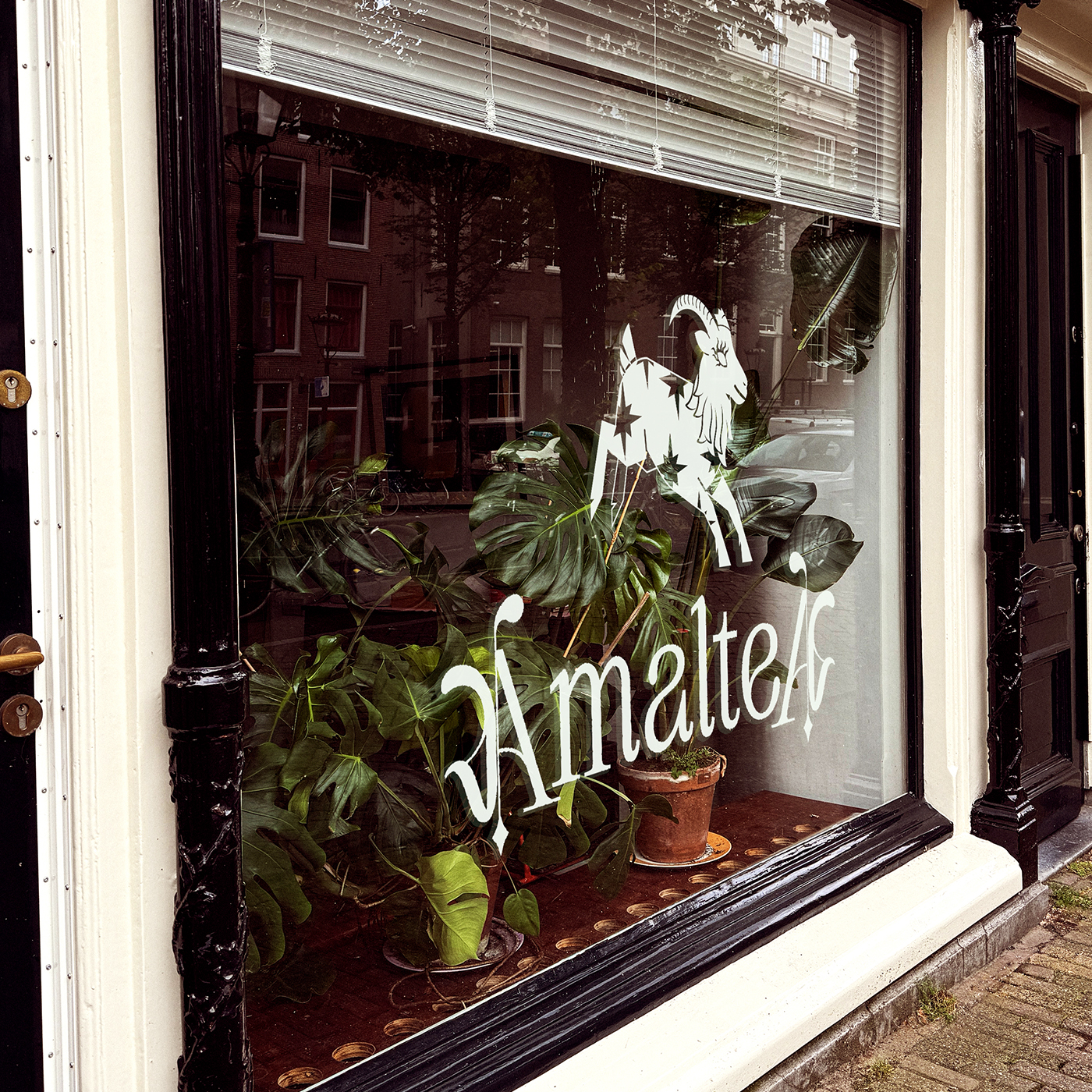 amaltea-01